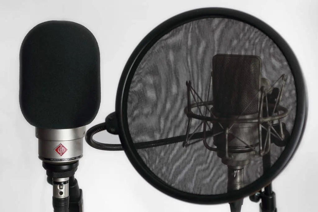 What is the Difference Between a Pop Filter and a Windscreen?