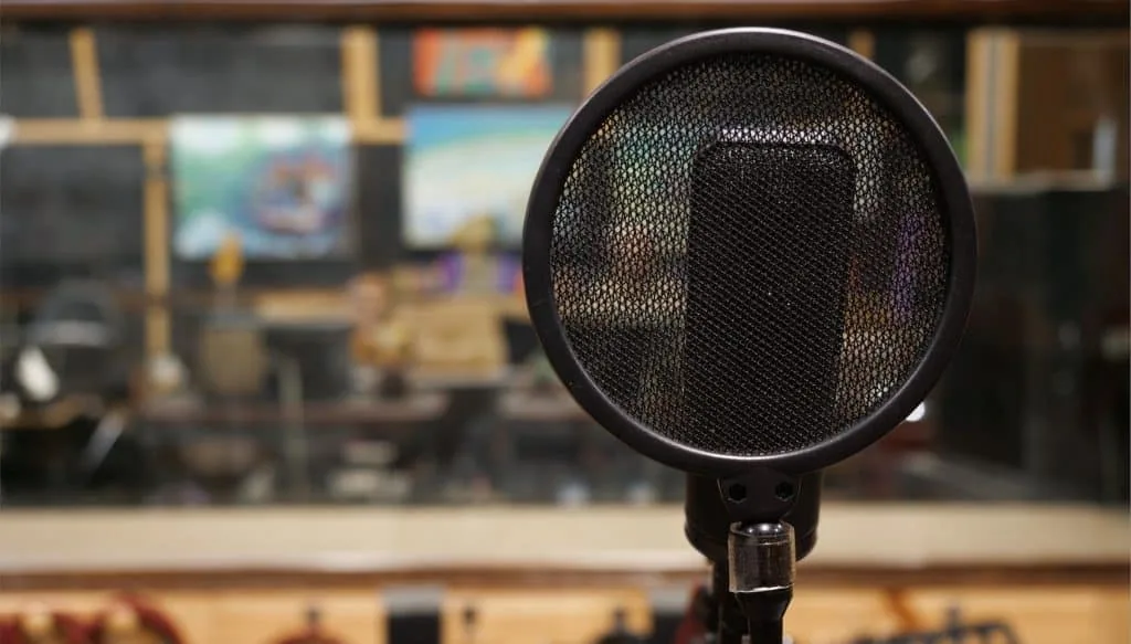 What is the Difference Between a Pop Filter and a Windscreen?